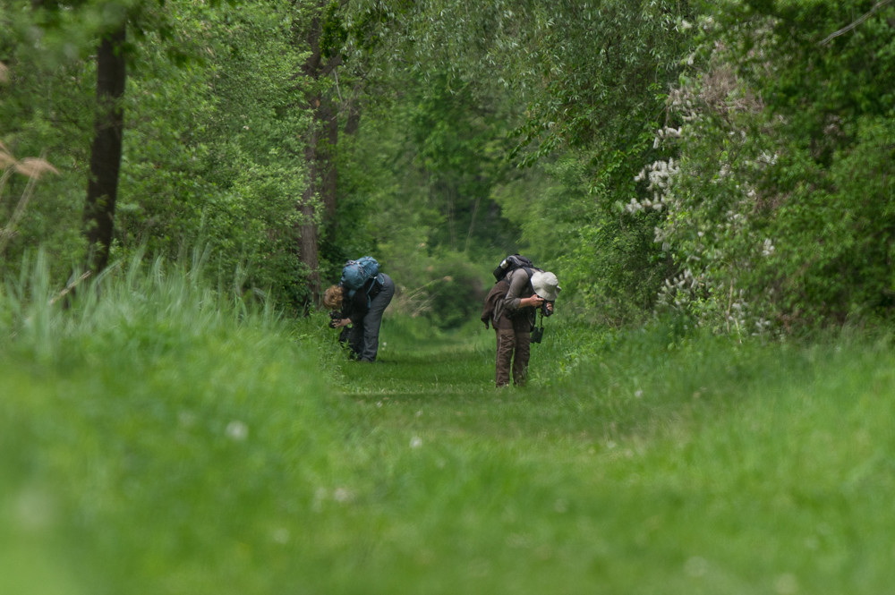 Headerimage 1