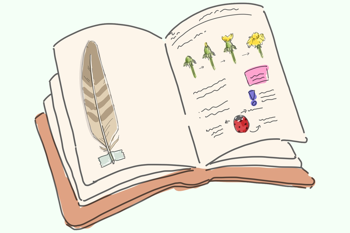 Sammelnstücke, zum Beispiel Federn, können Teil des Nature Journals sein, (c) Lisa Theismann