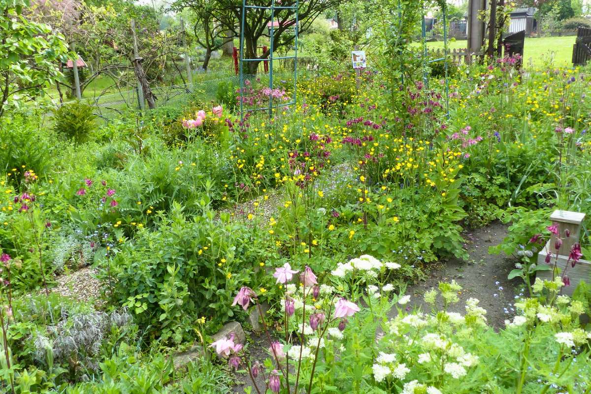 Blick in den Naturgarten des NABU Dortmund, (c) Brigitte Bornmann-Lemm/NABU-naturgucker.de