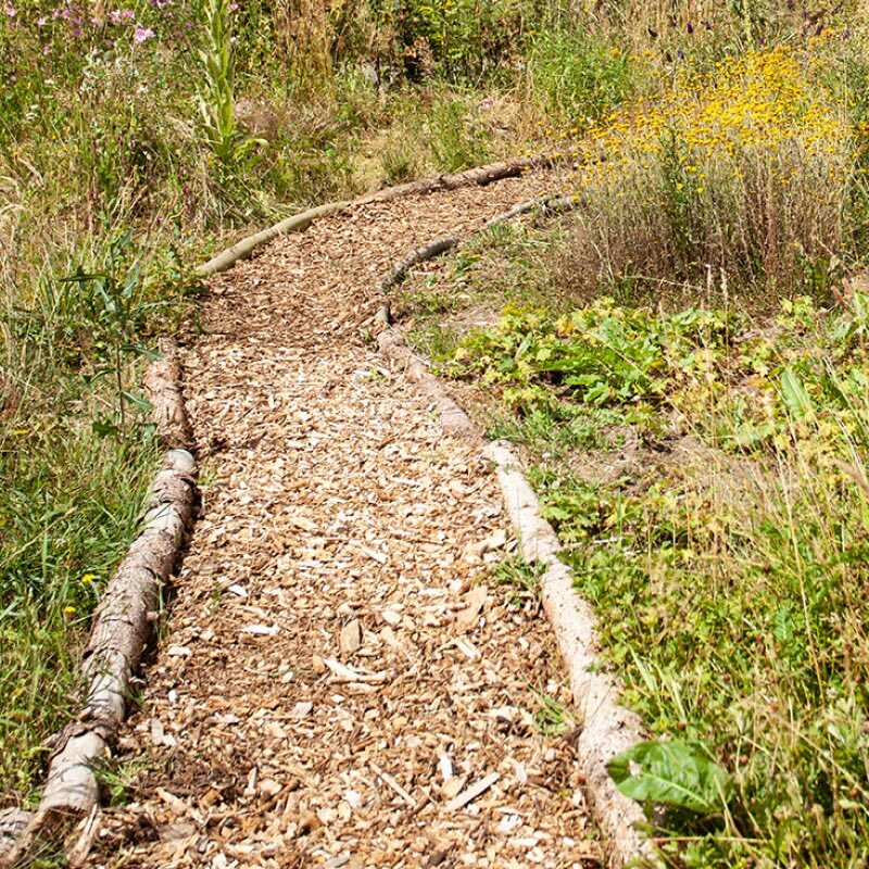 Öffnen 5. Mein Weg zum Naturgarten